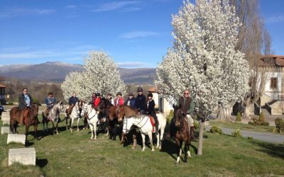 Gredos-Valle del Jerte 2012