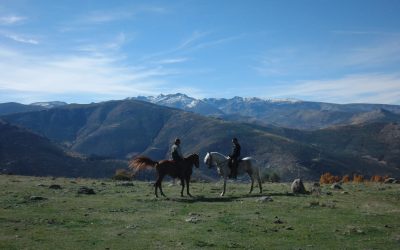 Parque Regional Sierra de Gredos 5 días