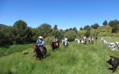Ruta a caballo Albarracín-Cuenca (6 días)