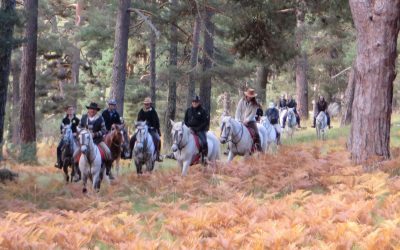 Fin de semana Octubre: Hoyos del Espino-San Esteban del Valle