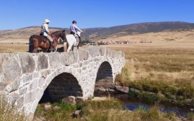 Ruta a caballo Alto Alberche